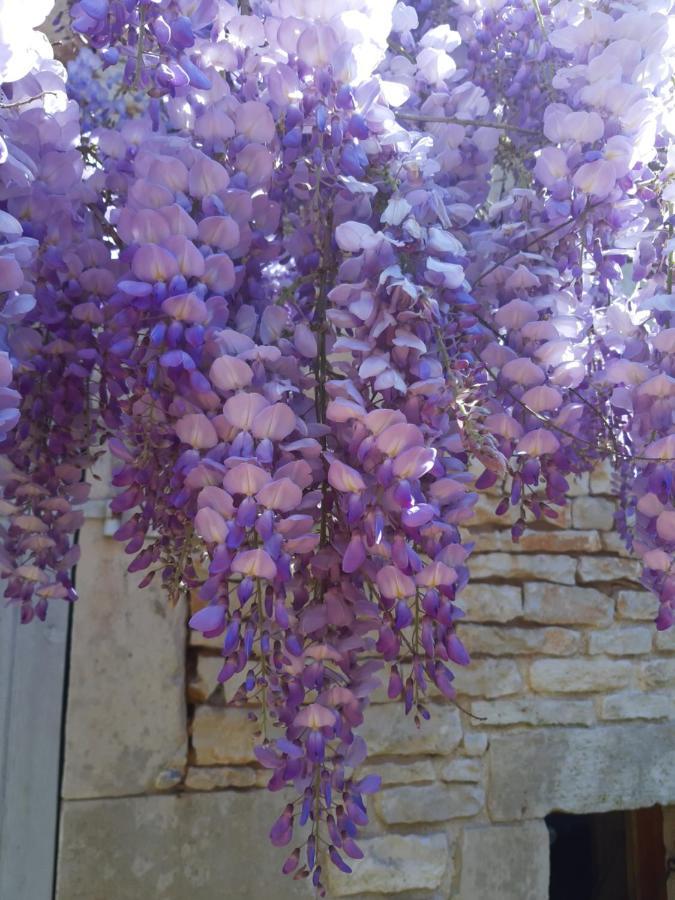 Wisteria Cottage Les Adjots Buitenkant foto